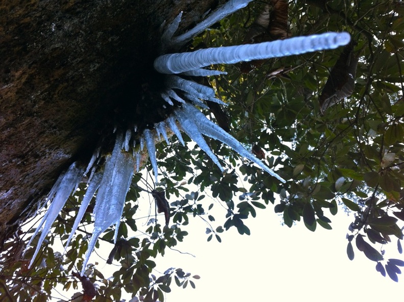 Winter on the Sheltowee Trace - 5